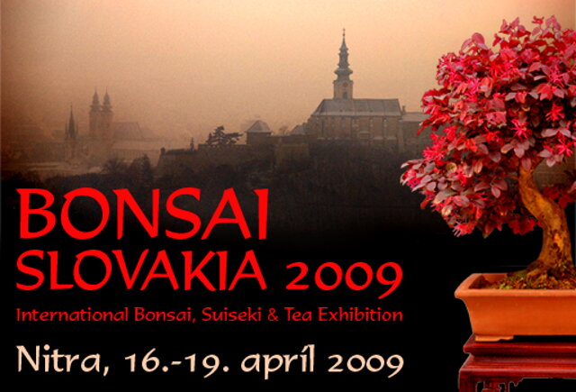 Bonsai Slovakia 2009