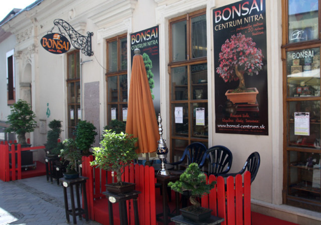 Bonsai centrum Nitra