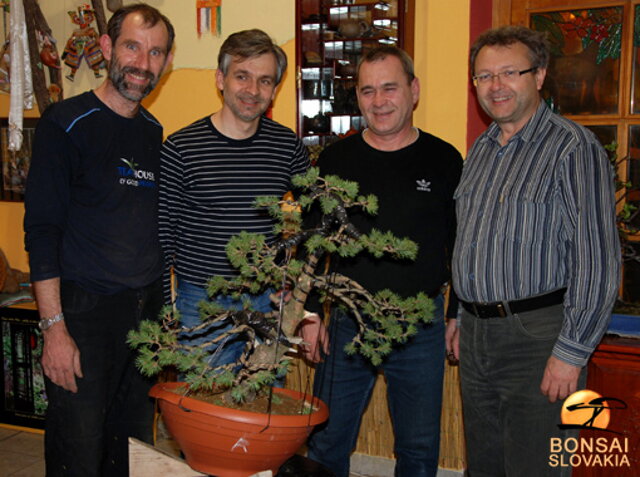 NITRIANSKA BONSAJOVÁ ŠKOLA - PINUS, LARIX, JUNIPERUS CHINENSIS