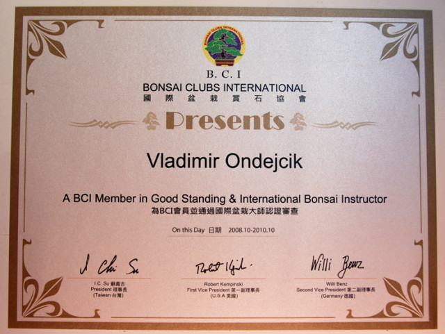 International bonsai Instructor