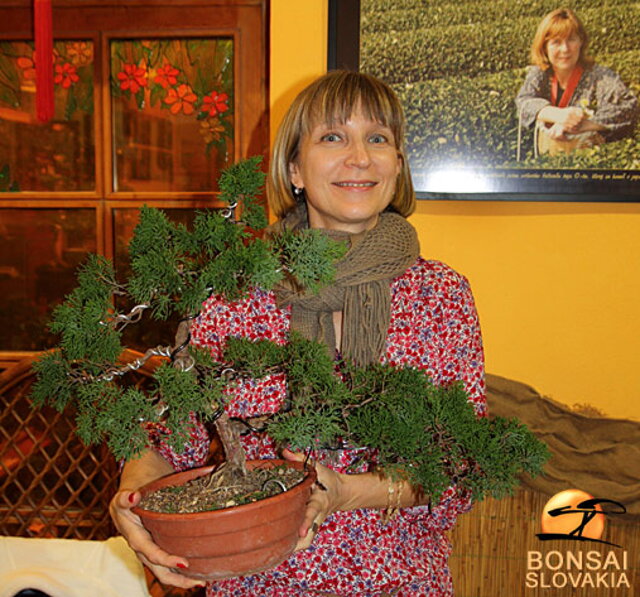 OKTÓBROVÝ KURZ BONSAJOVEJ ŠKOLY    Téma: IHLIČNANY... A JESEŇ V BONSAJOVEJ ZÁHRADE 29. - 30. OKTÓBER 2011    Miesto konania: Bonsai Slovakia - , Čajovňa dobrých ľudí Pri synagóge 3, pešia zóna, 949 01 Nitra    Lektori: RNDr. Vladimír Ondejčík, RNDr. Alenka Ondejčíková