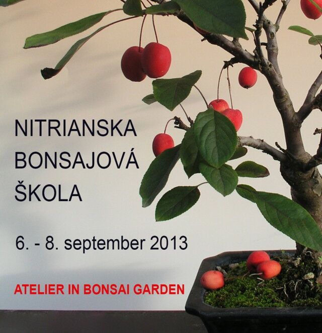 Nitrianska bonsajová škola - 2013 - Bonsai Slovakia - Čajovňa dobrých ľudí