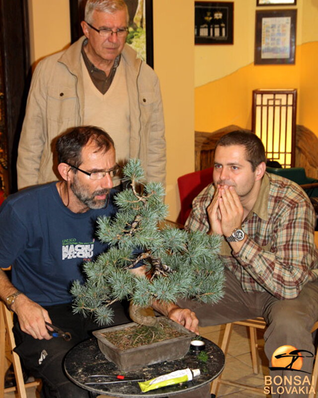 OKTÓBROVÝ KURZ BONSAJOVEJ ŠKOLY    Téma: IHLIČNANY... A JESEŇ V BONSAJOVEJ ZÁHRADE 29. - 30. OKTÓBER 2011    Miesto konania: Bonsai Slovakia - , Čajovňa dobrých ľudí Pri synagóge 3, pešia zóna, 949 01 Nitra    Lektori: RNDr. Vladimír Ondejčík, RNDr. Alenka Ondejčíková