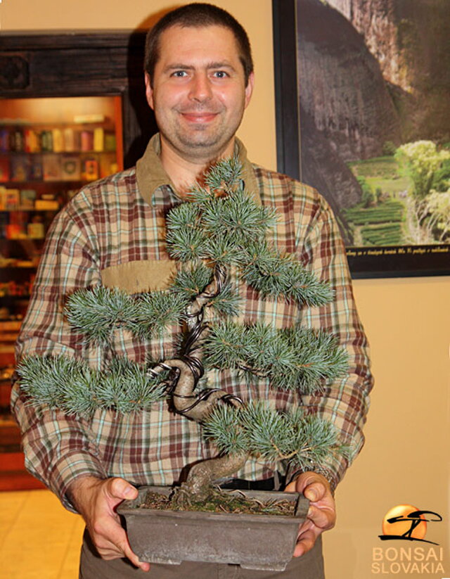 OKTÓBROVÝ KURZ BONSAJOVEJ ŠKOLY    Téma: IHLIČNANY... A JESEŇ V BONSAJOVEJ ZÁHRADE 29. - 30. OKTÓBER 2011    Miesto konania: Bonsai Slovakia - , Čajovňa dobrých ľudí Pri synagóge 3, pešia zóna, 949 01 Nitra    Lektori: RNDr. Vladimír Ondejčík, RNDr. Alenka Ondejčíková