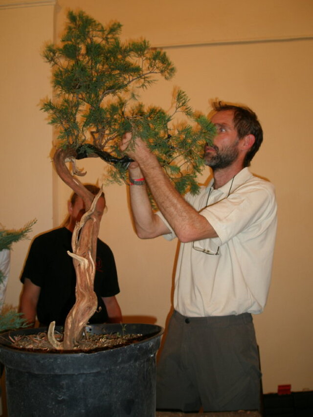 12. ročník celoštátnej výstavy bonsajov a suiseki - Děčín 2009 - Prezident SBA 2006-2010 - RNDr. Vladimír Ondejčík