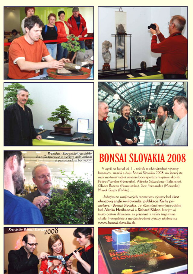 SLOVENSKÁ BONSAJOVÝ ASOCIÁCIA V ROKOCH 2006-2010 - PREZIDENT SBA RNDr. VLADIMÍR ONDEJČÍK
