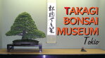 TAKAGI BONSAI MUSEUM Tokio
