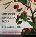 OPEN GARDEN BONSAI DAY