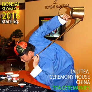 TAIJI TEA CEREMONY HOUSE