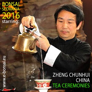 ZHENG CHUNHUI TAIJI CEREMONY TEA HOUSE