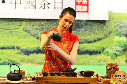 TEA RITUAL - JAPAN