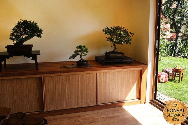 OPEN GARDEN BONSAI DAY