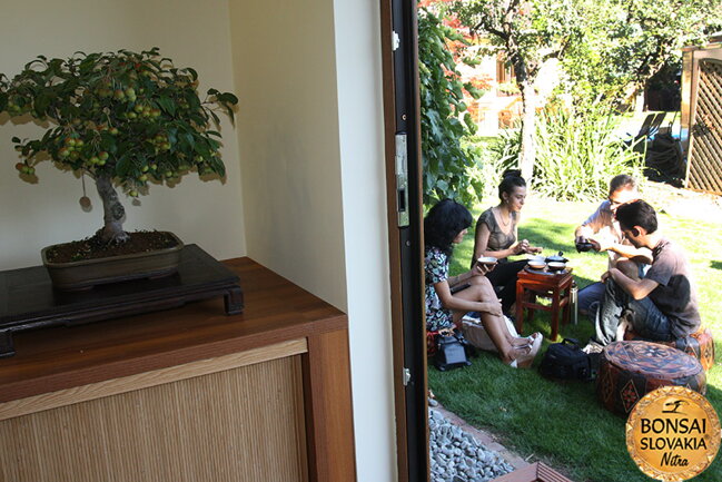 OPEN GARDEN BONSAI DAY