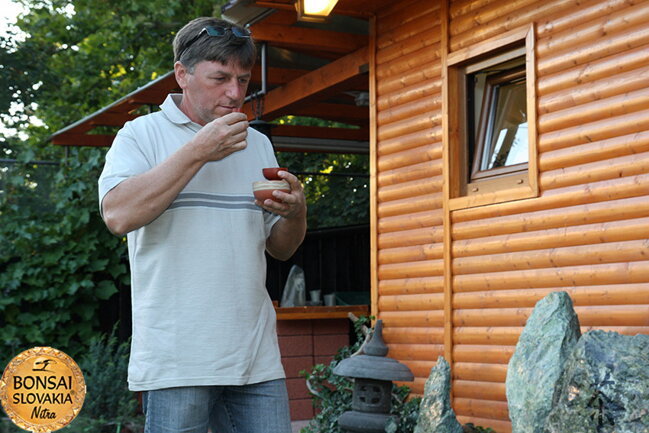 OPEN GARDEN BONSAI DAY