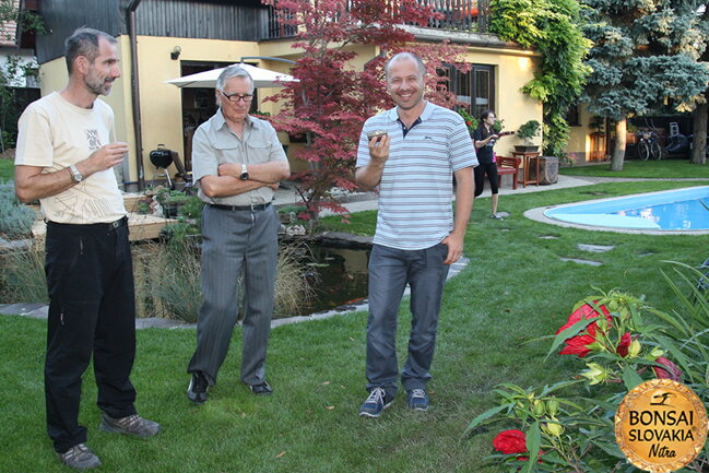 OPEN GARDEN BONSAI DAY