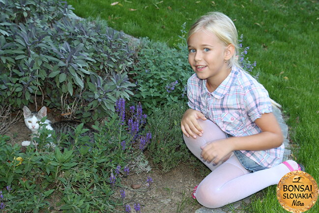 OPEN GARDEN BONSAI DAY