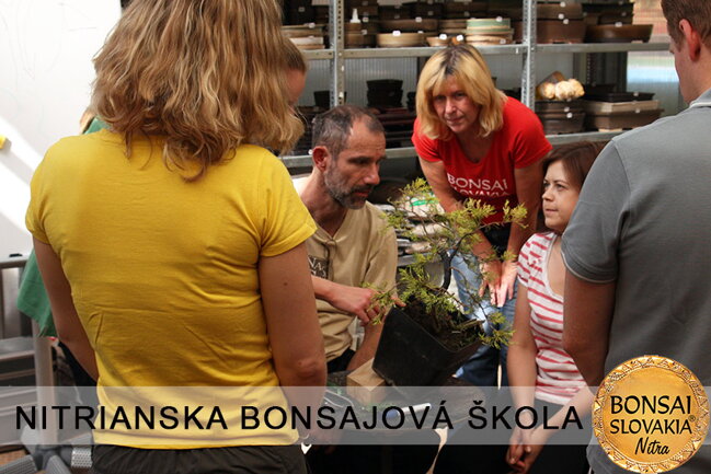 NITRIANSKA BONSAJOVÁ ŠKOLA IX. 2013