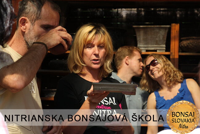 NITRIANSKA BONSAJOVÁ ŠKOLA IX. 2013