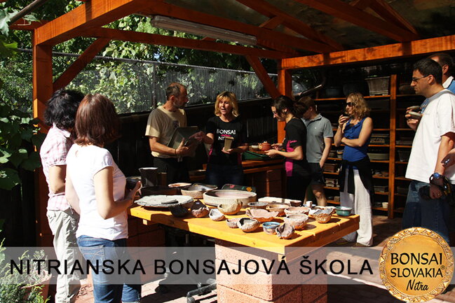 NITRIANSKA BONSAJOVÁ ŠKOLA IX. 2013