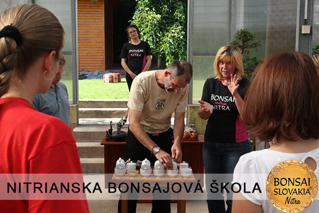 NITRIANSKA BONSAJOVÁ ŠKOLA IX. 2013