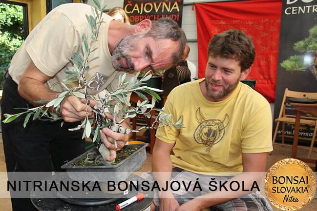 NITRIANSKA BONSAJOVÁ ŠKOLA IX. 2013