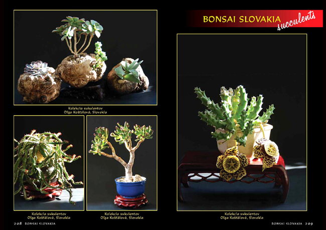 BONSAI SLOVAKIA Kniha priateľstva The Book of Friendship