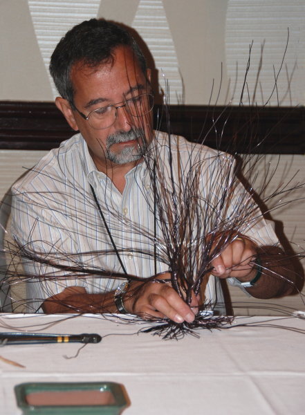 6th World Bonsai Congress, San Juan, Puerto Rico