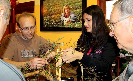 Tvarovanie bonsajov Peter Mušinský