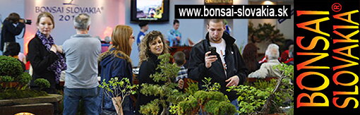 BONSAI SLOVAKIA - NITRA