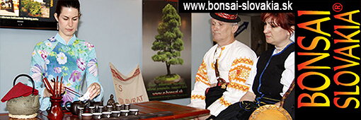 BONSAI SLOVAKIA - NITRA